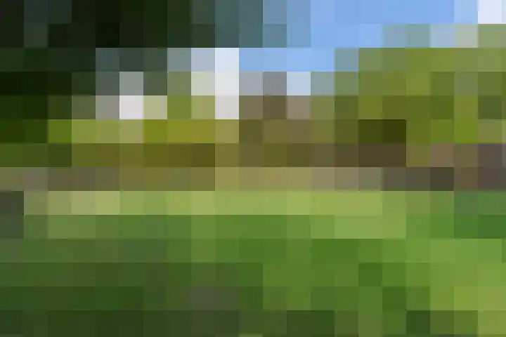 Hoofdstraat 172 Herveld thumbnail 60