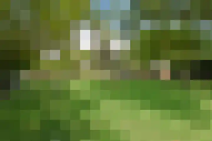 Hoofdstraat 172 Herveld thumbnail 61