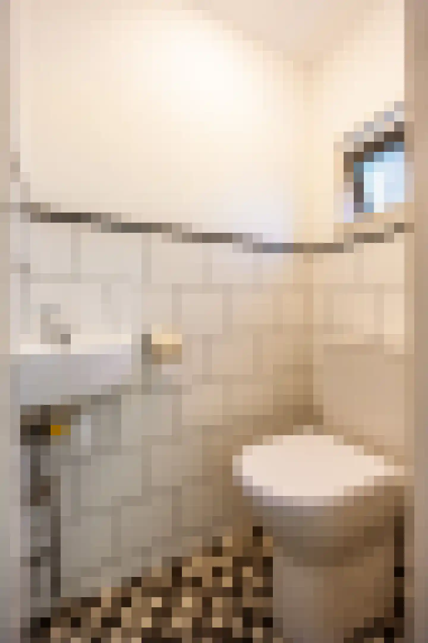 Hoofdstraat 174 Pieterburen thumbnail 29