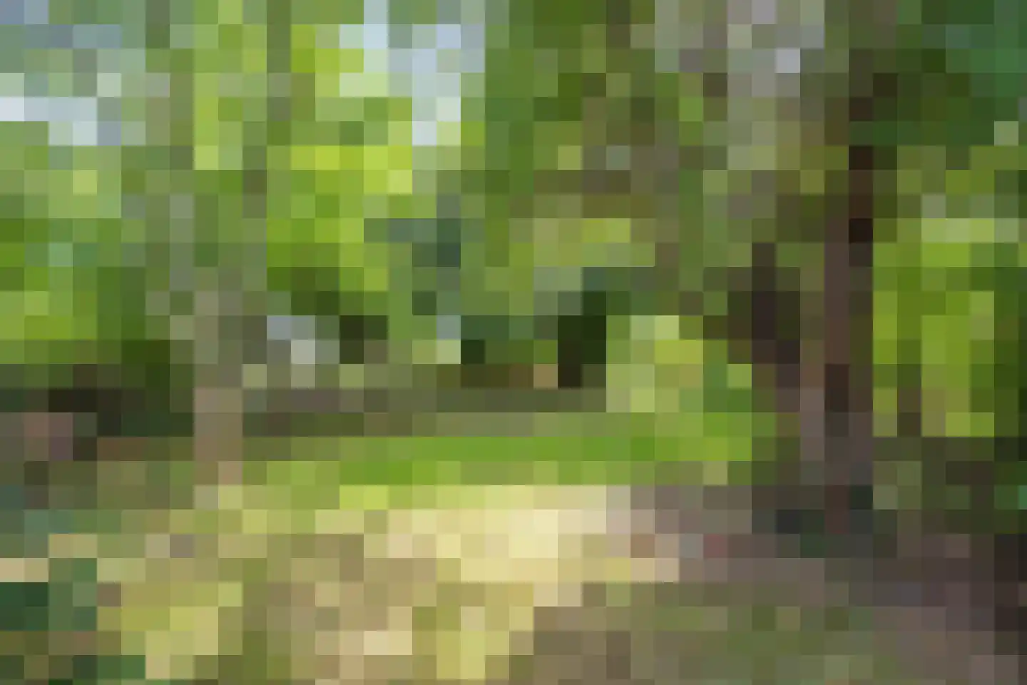 Hoofdstraat 174 Pieterburen thumbnail 4
