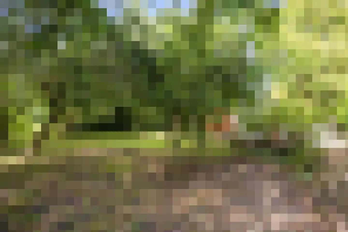 Hoofdstraat 174 Pieterburen thumbnail 54