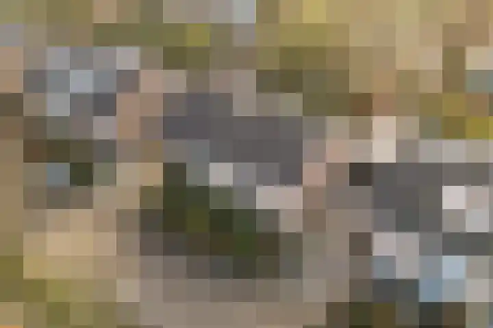 Hoofdstraat 176 Velp thumbnail 31