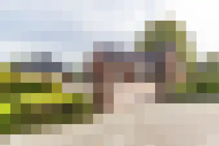 Hoofdstraat 178 Grootegast thumbnail 5