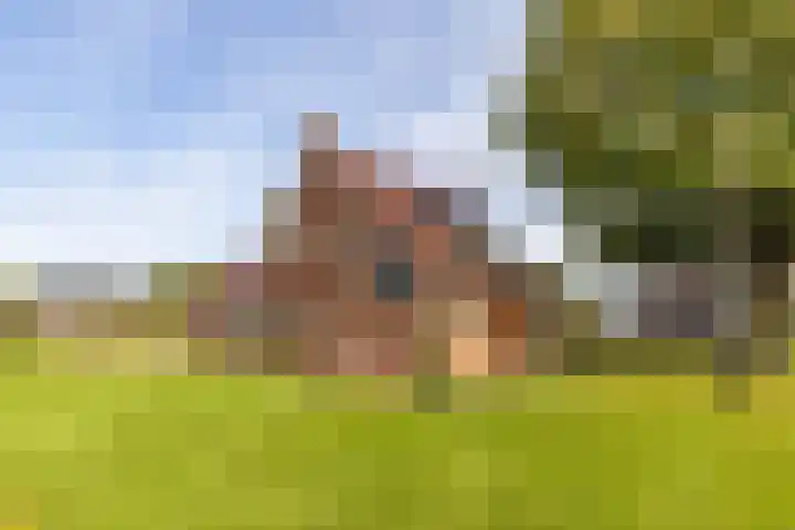 Hoofdstraat 178 Grootegast thumbnail 6
