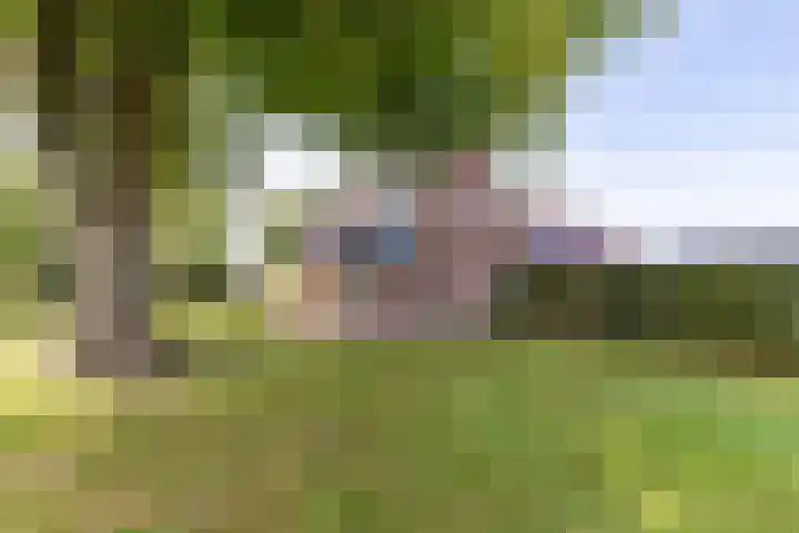 Hoofdstraat 178 Grootegast thumbnail 7