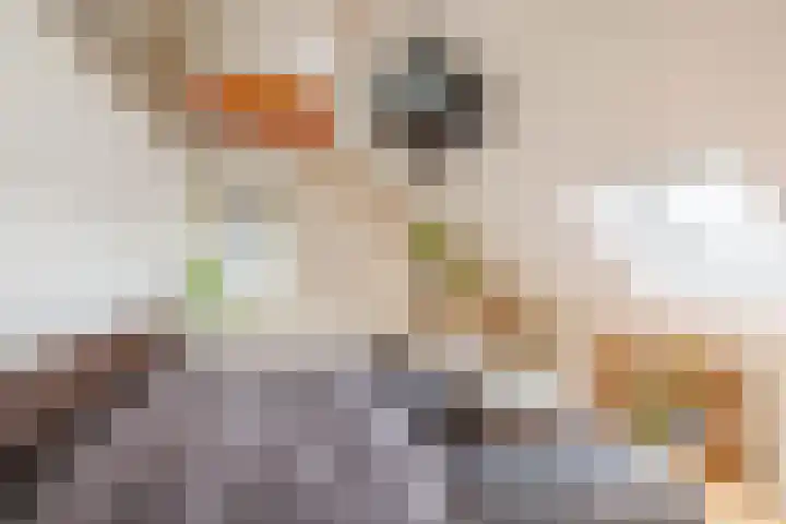 Hoofdstraat 178 Schijndel thumbnail 38
