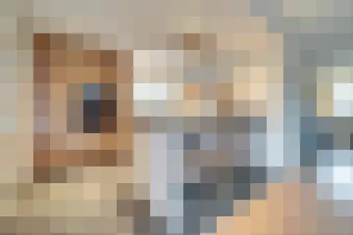 Hoofdstraat 18 E Herpt thumbnail 11