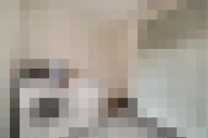 Hoofdstraat 18 E Herpt thumbnail 20
