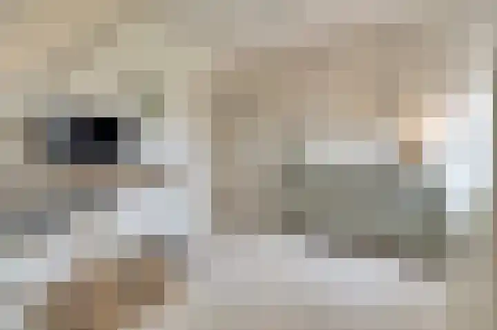 Hoofdstraat 18 E Herpt thumbnail 35