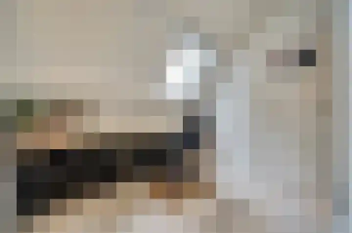 Hoofdstraat 18 E Herpt thumbnail 38