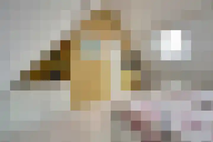 Hoofdstraat 18 E Herpt thumbnail 44