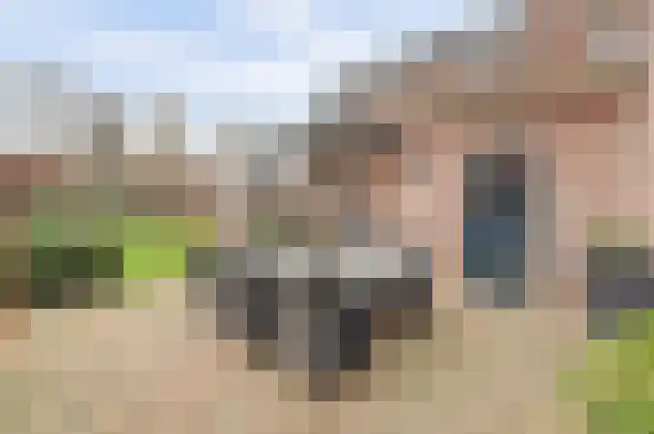 Hoofdstraat 18 E Herpt thumbnail 50