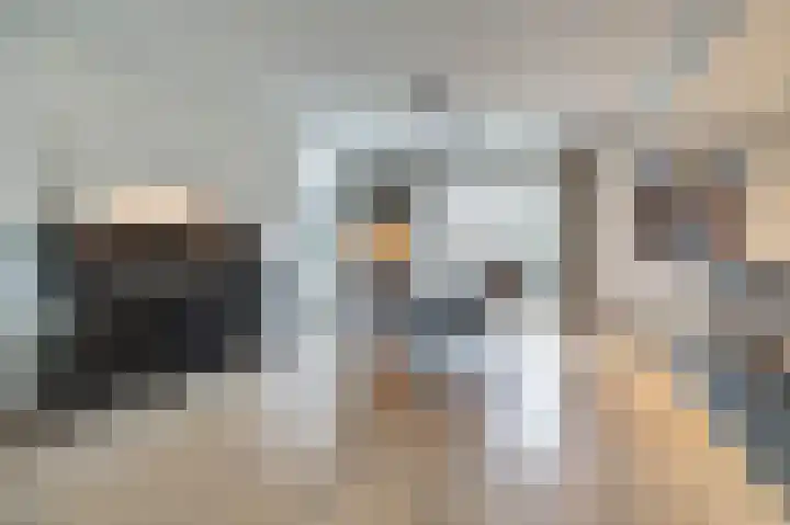 Hoofdstraat 18 E Herpt thumbnail 6