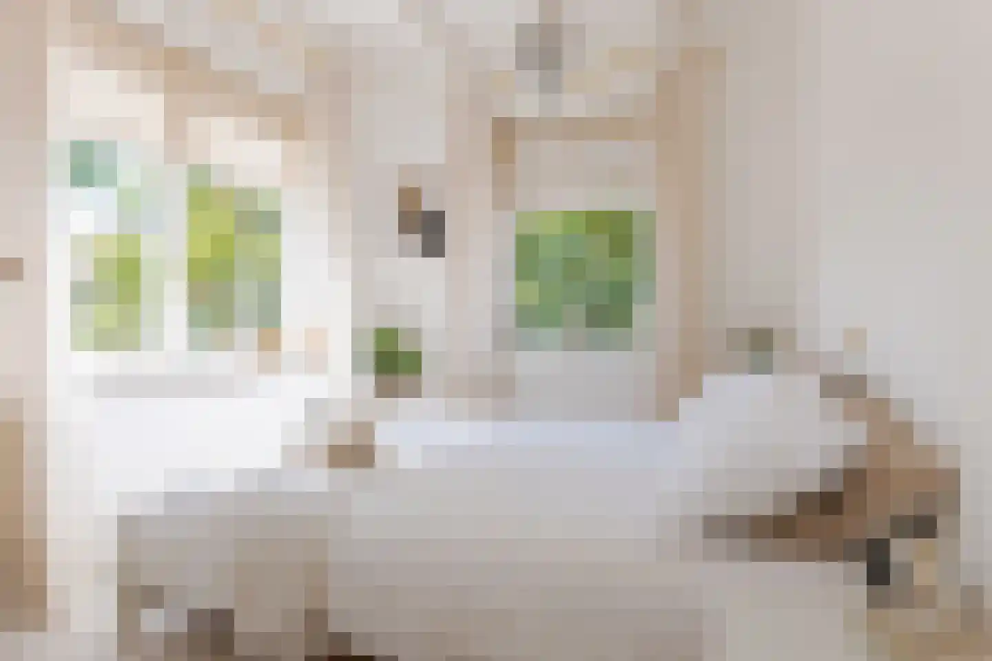 Hoofdstraat 18 Elp thumbnail 25