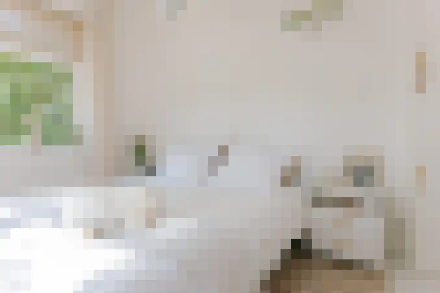 Hoofdstraat 18 Elp thumbnail 26