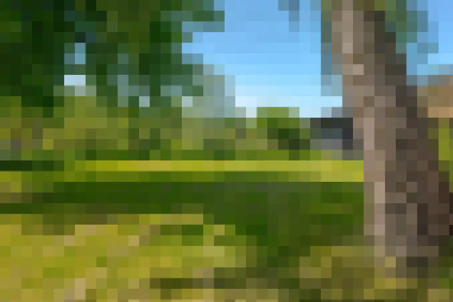 Hoofdstraat 18 Elp thumbnail 4
