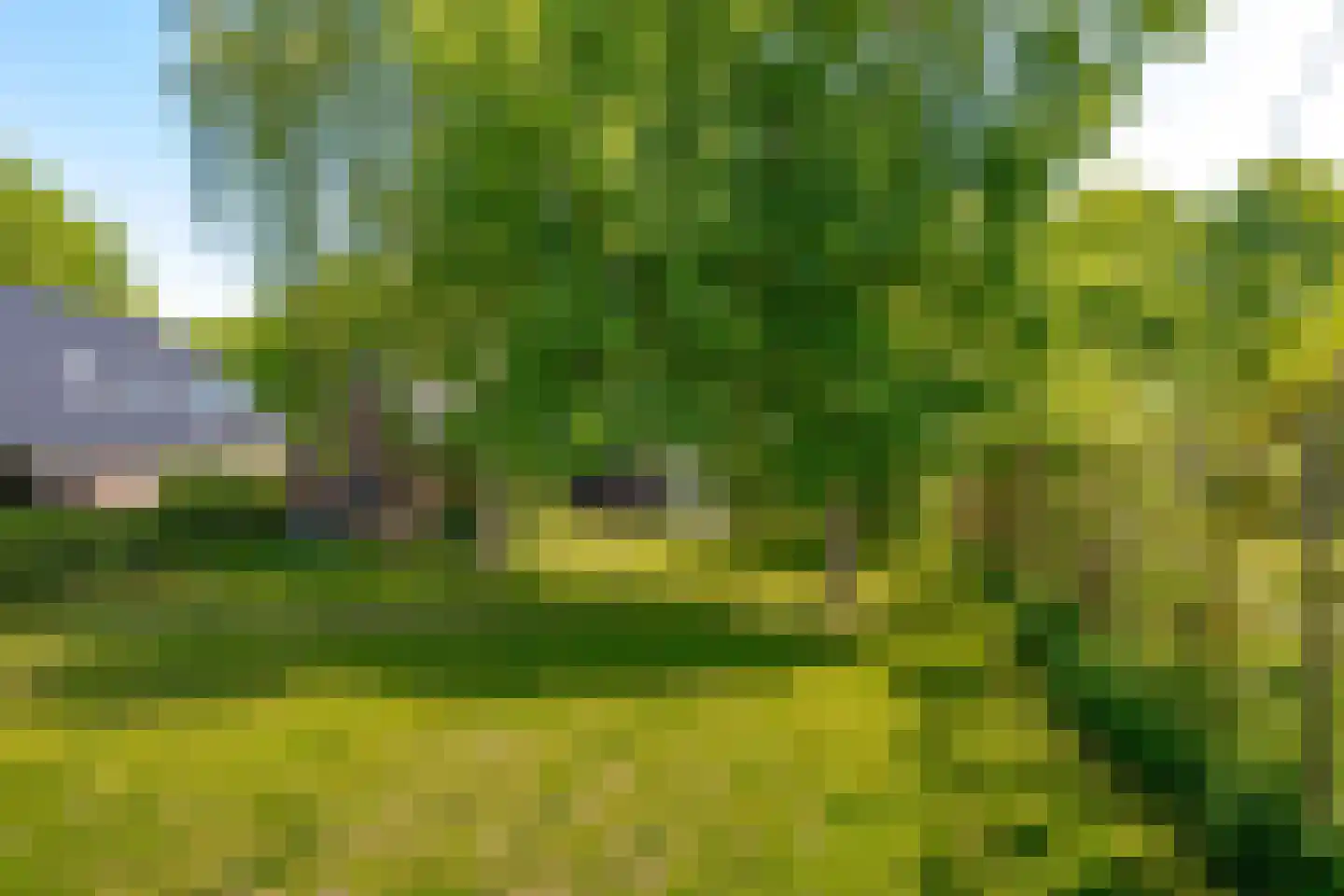 Hoofdstraat 18 Elp thumbnail 43
