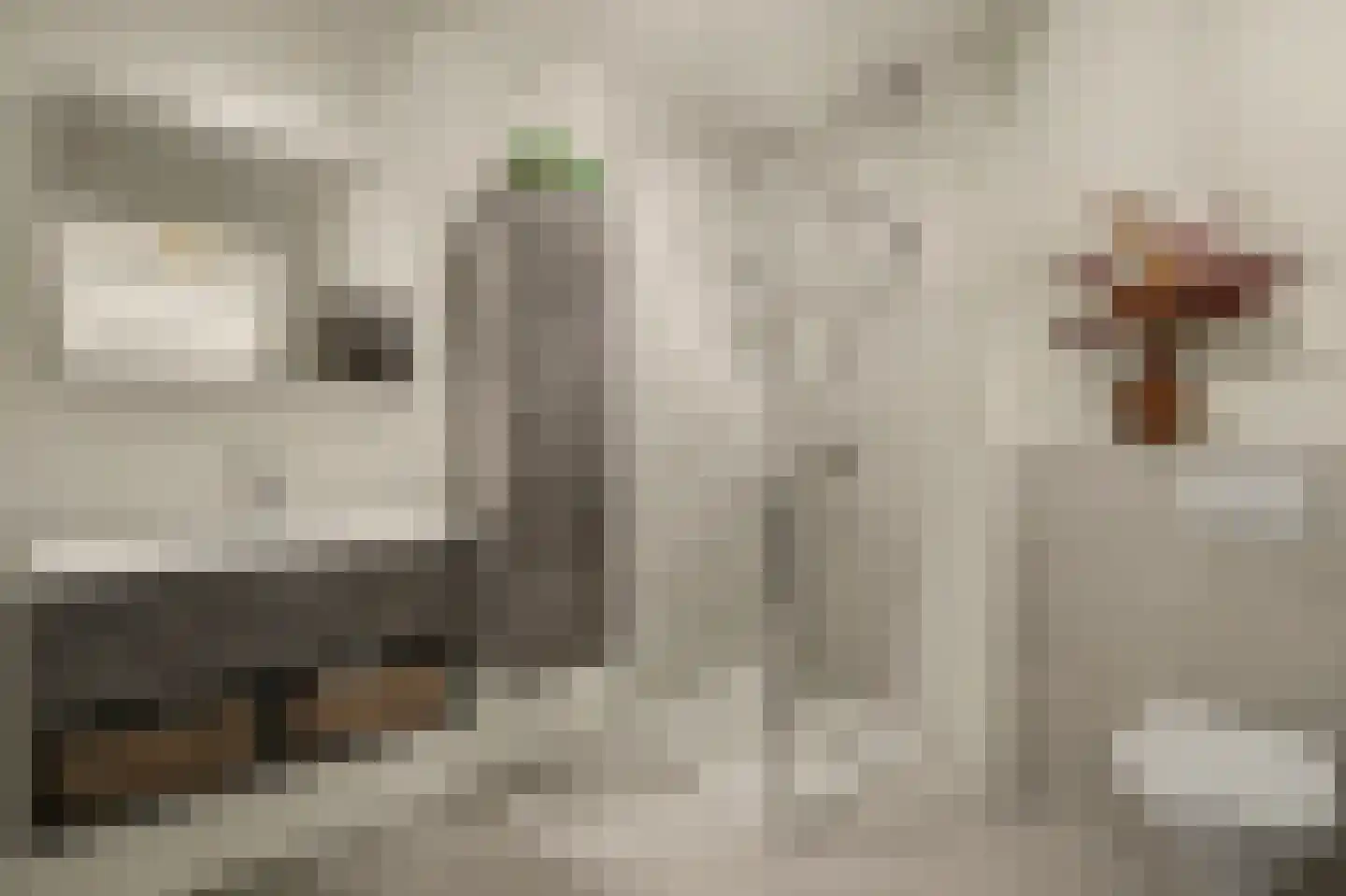 Hoofdstraat 18 F Oirlo thumbnail 10