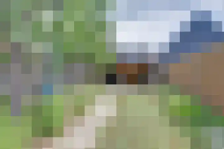 Hoofdstraat 18 Kortgene thumbnail 24