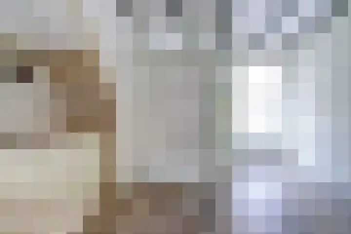 Hoofdstraat 18 Kortgene thumbnail 7