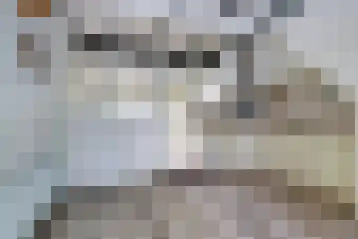 Hoofdstraat 18 Kortgene thumbnail 8