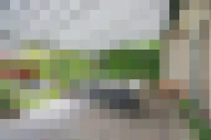 Hoofdstraat 18 Santpoort-Noord thumbnail 30