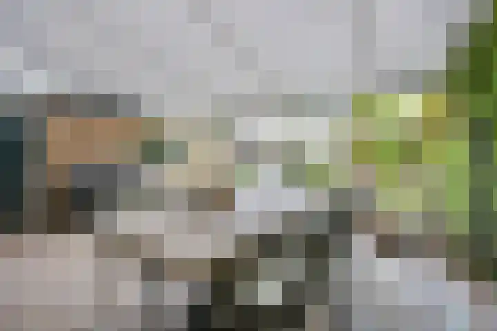 Hoofdstraat 18 Santpoort-Noord thumbnail 33