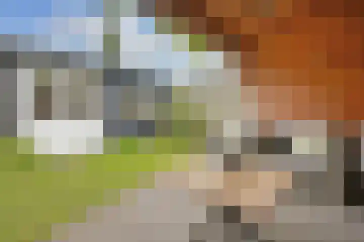 Hoofdstraat 18 Santpoort-Noord thumbnail 37