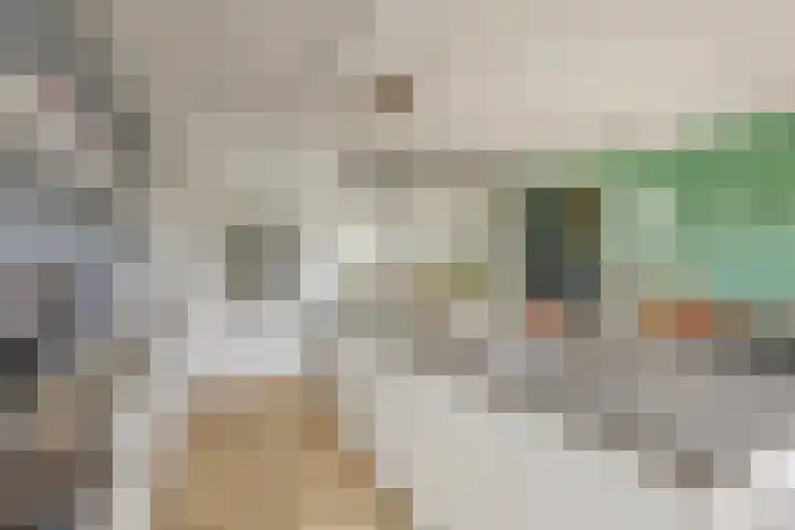 Hoofdstraat 18 Santpoort-Noord thumbnail 5