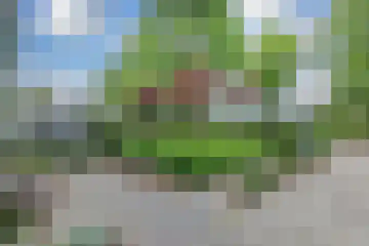 Hoofdstraat 18 Santpoort-Noord thumbnail 67