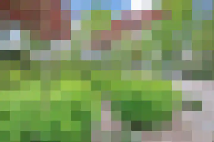 Hoofdstraat 18 Santpoort-Noord thumbnail 69