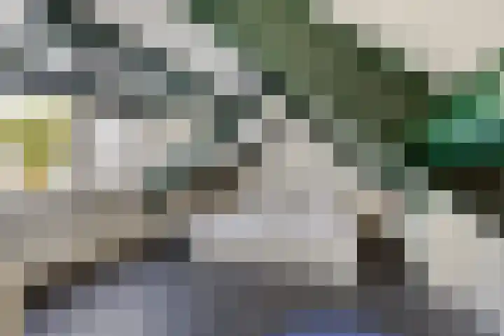 Hoofdstraat 18 Terneuzen thumbnail 14