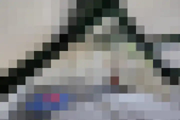 Hoofdstraat 18 Terneuzen thumbnail 15