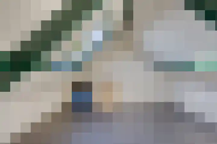Hoofdstraat 18 Terneuzen thumbnail 16