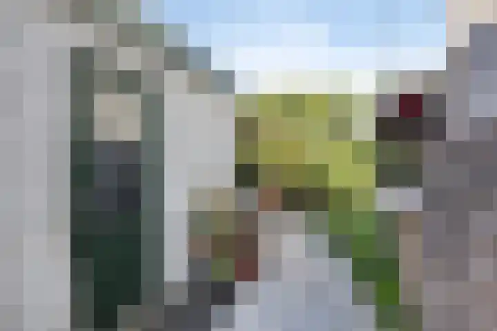 Hoofdstraat 18 Terneuzen thumbnail 18