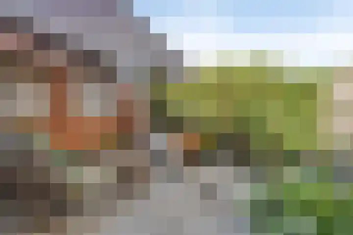 Hoofdstraat 18 Terneuzen thumbnail 21
