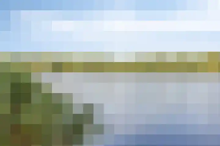 Hoofdstraat 18 Terneuzen thumbnail 22