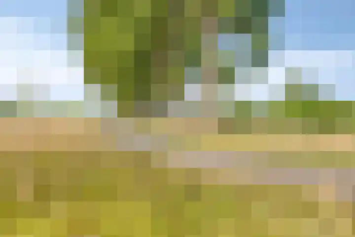 Hoofdstraat 18 Terneuzen thumbnail 23