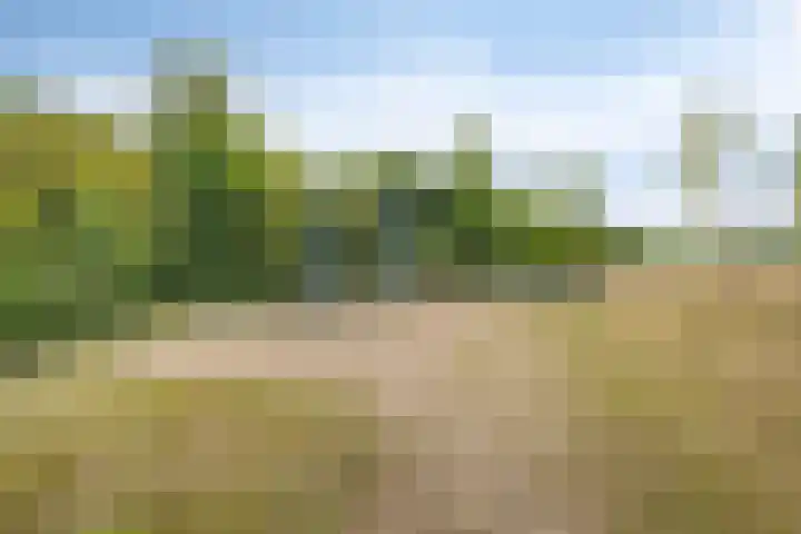 Hoofdstraat 18 Terneuzen thumbnail 24