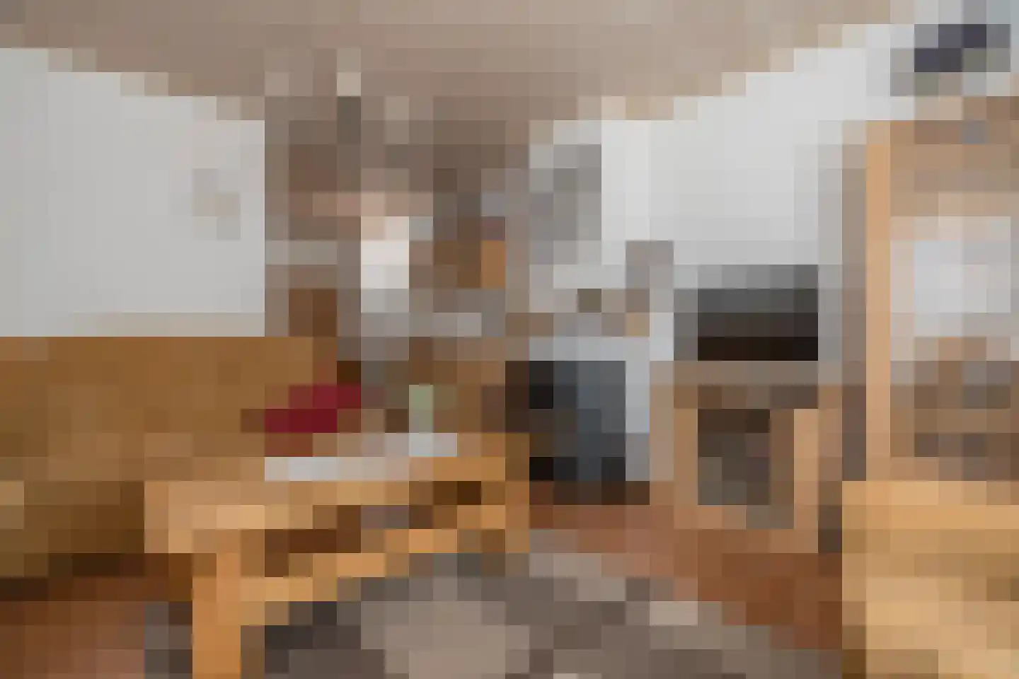 Hoofdstraat 181 Beerta thumbnail 19