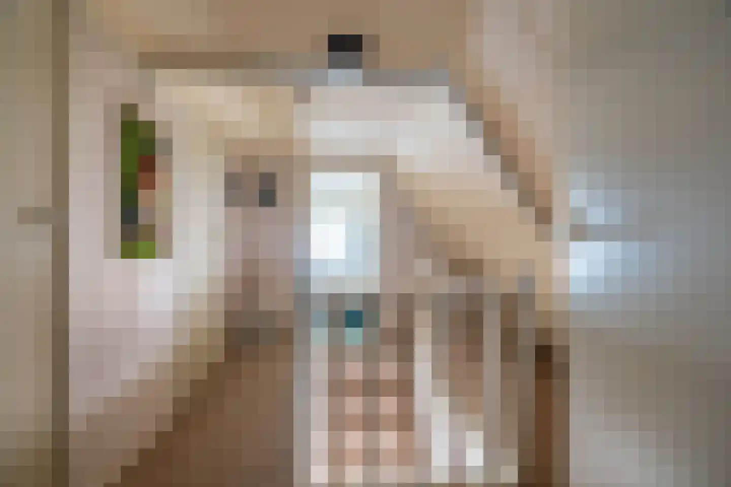 Hoofdstraat 181 Beerta thumbnail 36