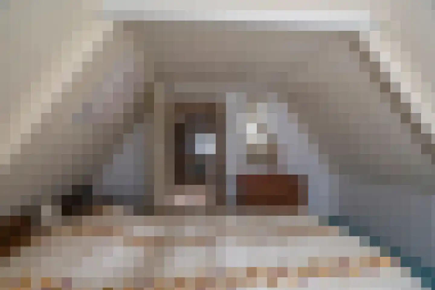Hoofdstraat 181 Beerta thumbnail 39