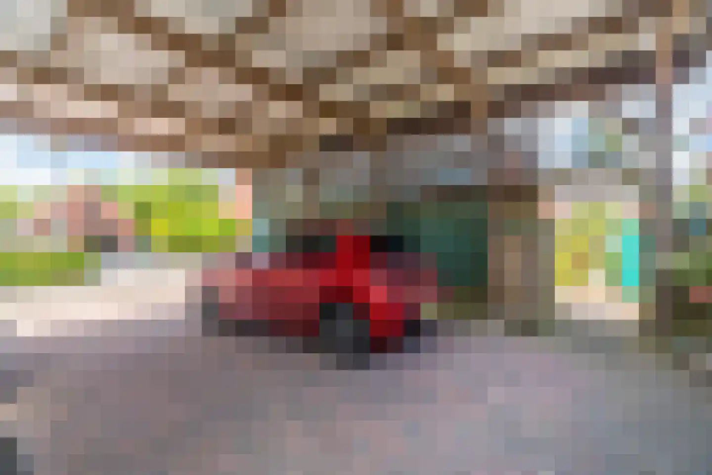 Hoofdstraat 181 Beerta thumbnail 42