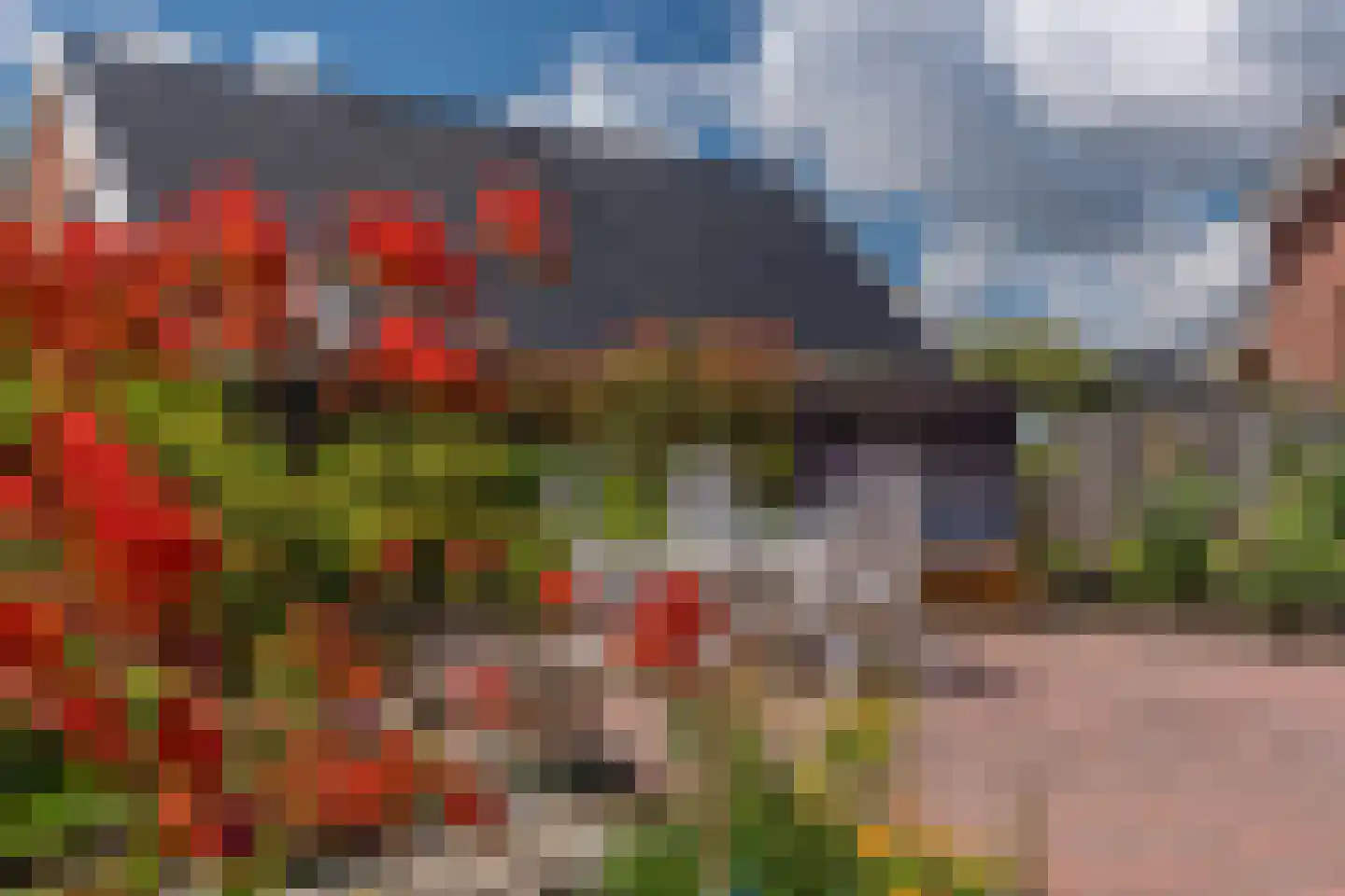 Hoofdstraat 181 Beerta thumbnail 45