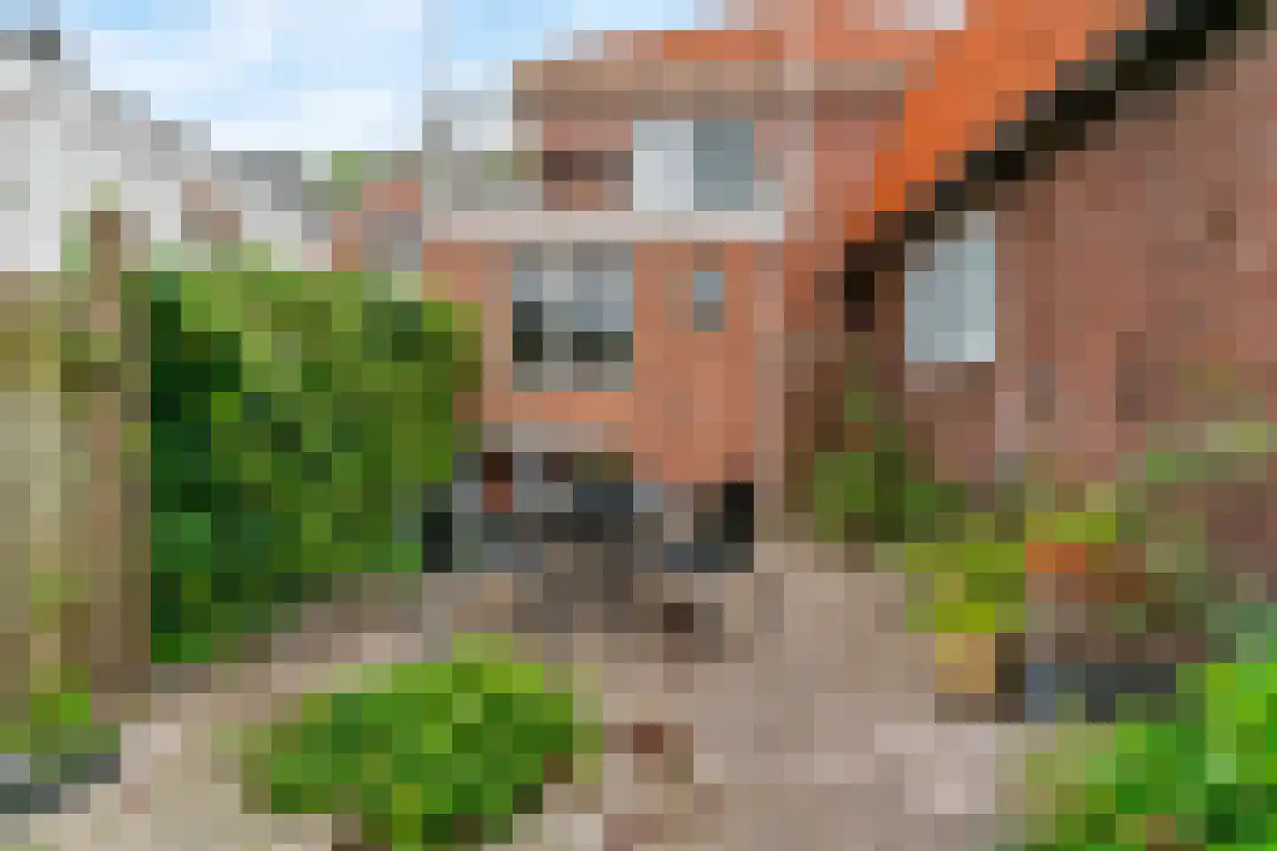 Hoofdstraat 184 Bovenkarspel thumbnail 29