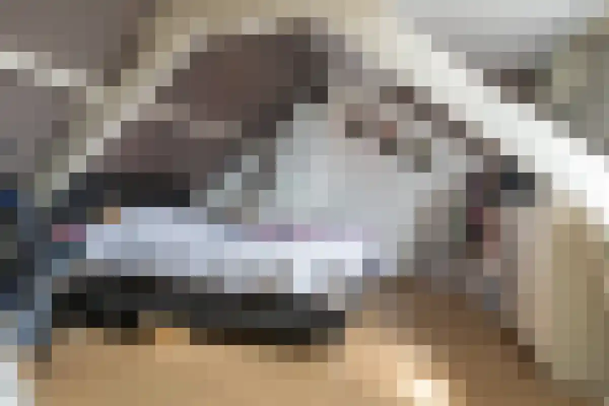 Hoofdstraat 186 Leiderdorp thumbnail 5