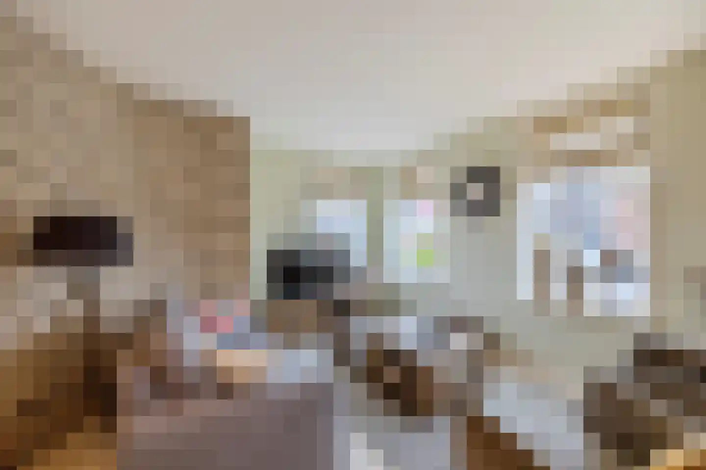 Hoofdstraat 187 Uithuizermeeden thumbnail 13