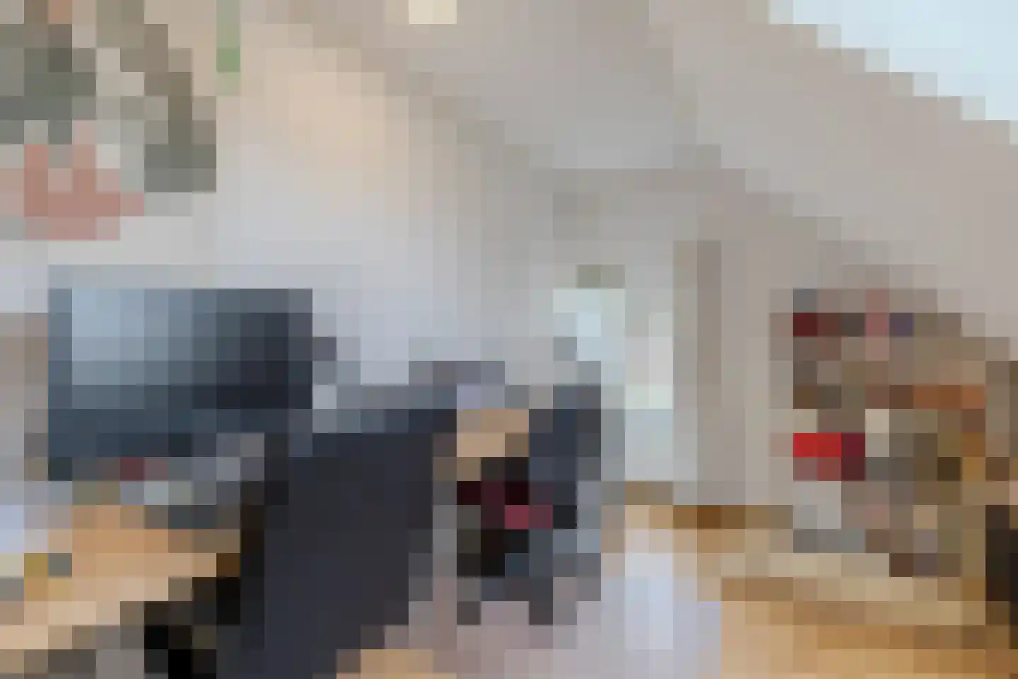 Hoofdstraat 187 Uithuizermeeden thumbnail 55