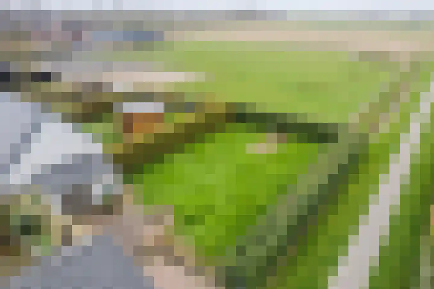 Hoofdstraat 187 Uithuizermeeden thumbnail 78