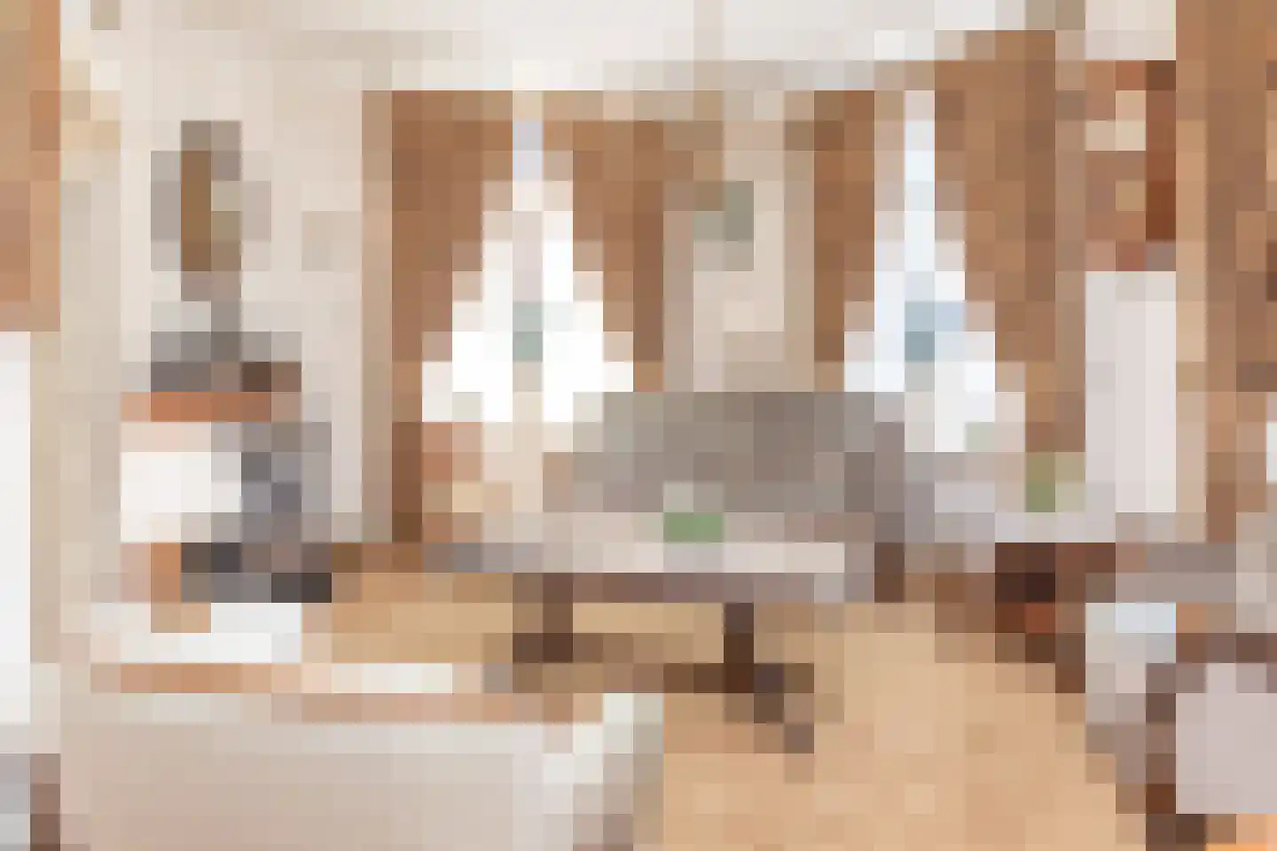 Hoofdstraat 19 Kesteren thumbnail 21